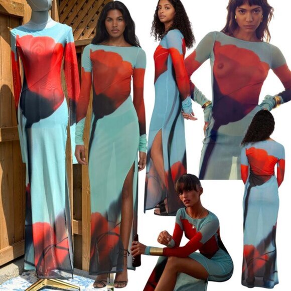 🆕 RAT & BOA 🧿 NWOT Santino Sheer Long Sleeve Dress, Blue with Red Tulip Sz XXS - Picture 1 of 16